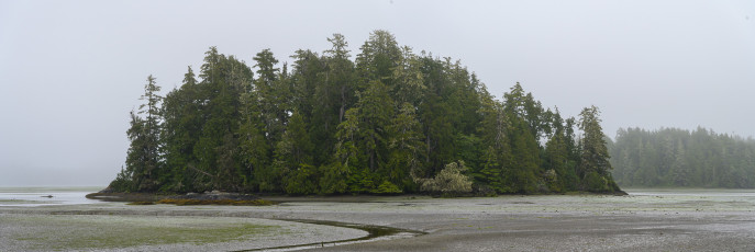Tofino Mudflats