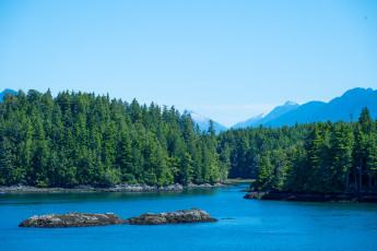 Neilson and Riley Islands