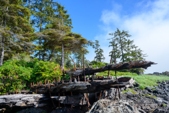 Uclulet Shipwreck