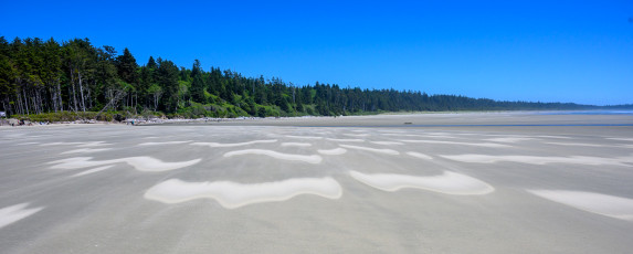 Chesterman Beach