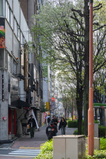 Nagoya