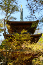 Sanju-no-to at Gotoku-ji Temple