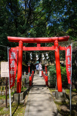 Torii Gate at Setagaya Hachiman-gu